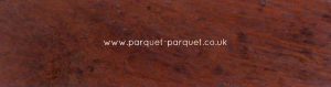 Jarrah close-up