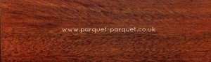 Rhodesian Mahogany